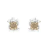 Two-Toned Sterling Silver Champagne Diamond Stud Earrings | 0.10 cttw | I2-I3 Clarity - Image 2