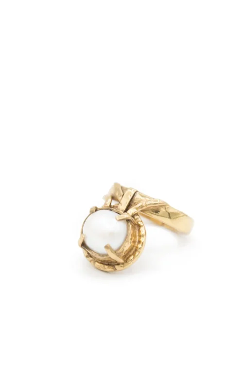 The CLEO Ring