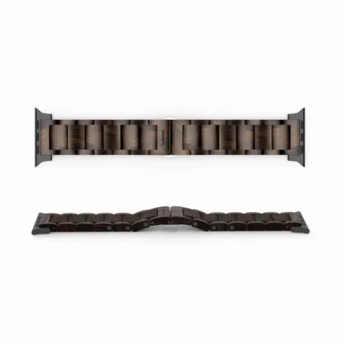 Everyday Band - Image 2