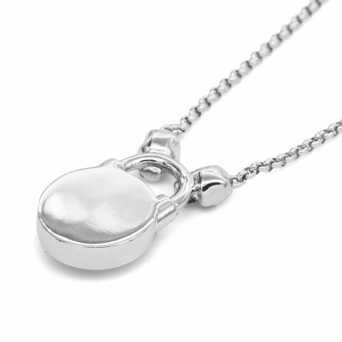 Controse Skull Lock Necklace - Forever Love - Image 2
